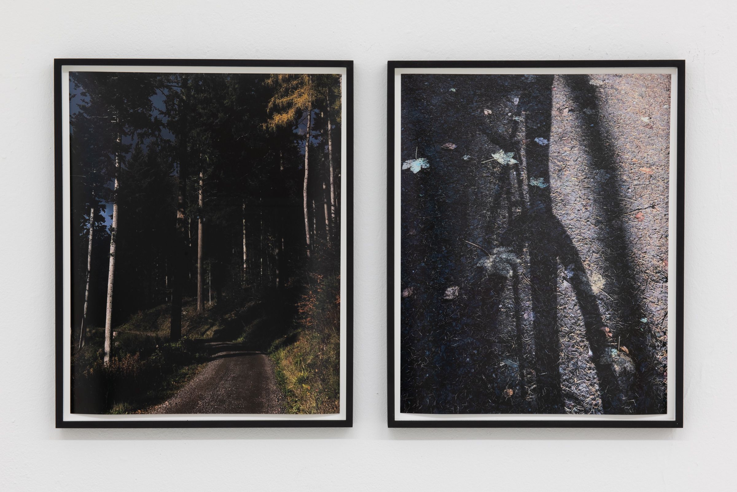 Cycling I & Cycling II