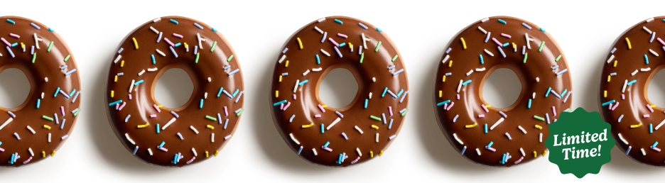 Chocolate Iced Doughnut with Spring Sprinkles