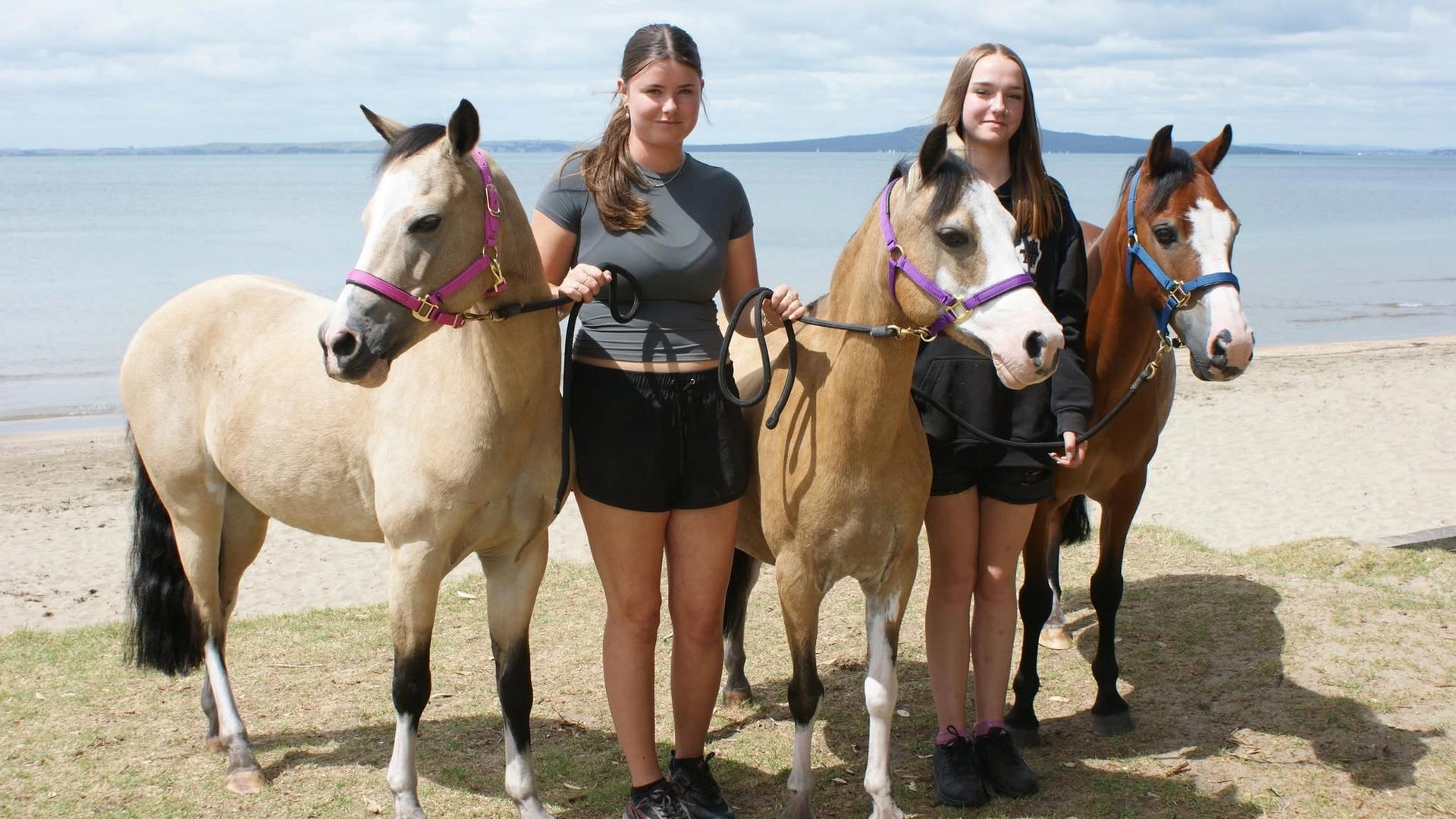 Ponies 4 Parties, Muriwai