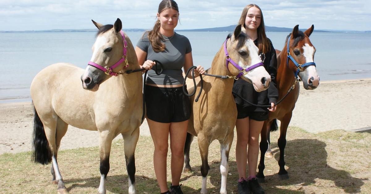 Ponies 4 Parties