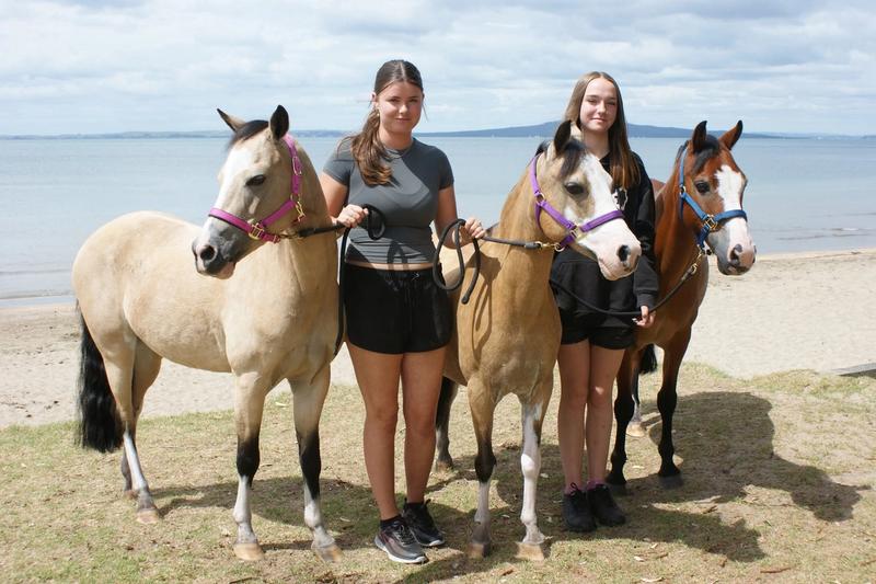 Ponies 4 Parties