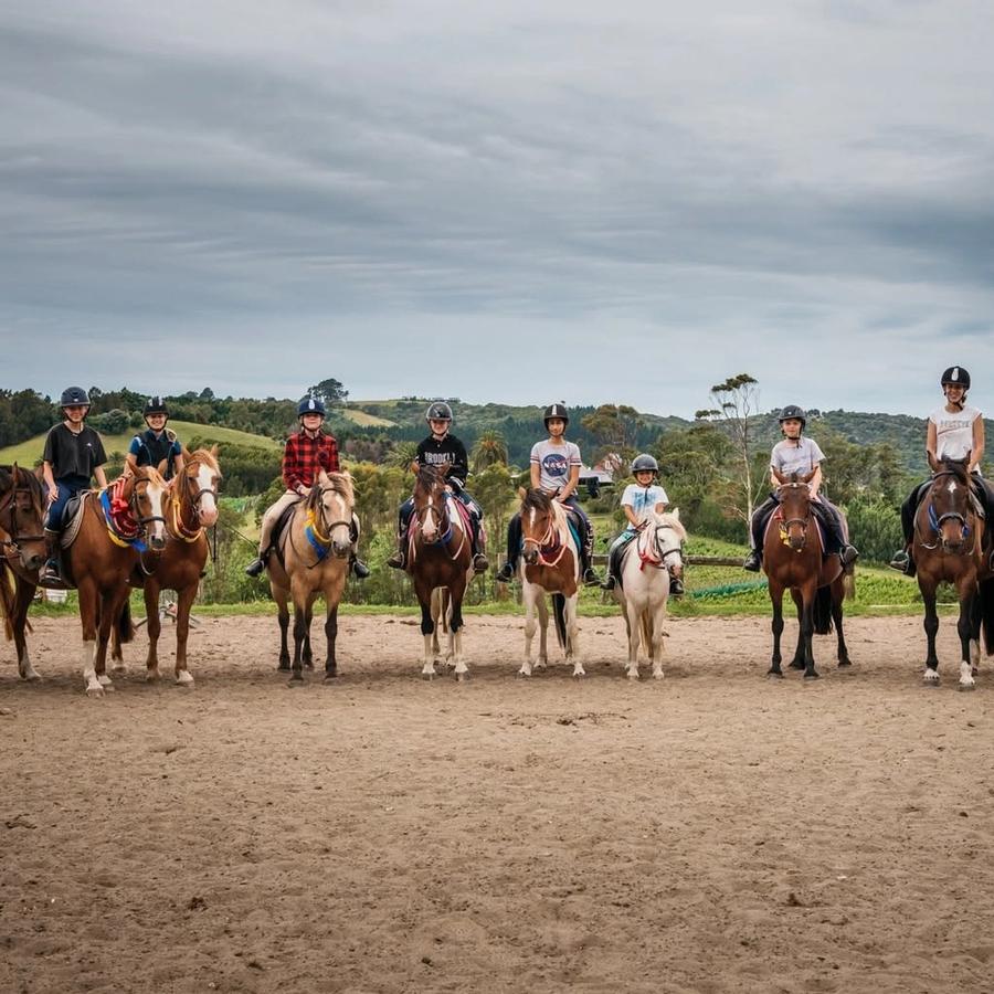 Waiheke Equestrian
