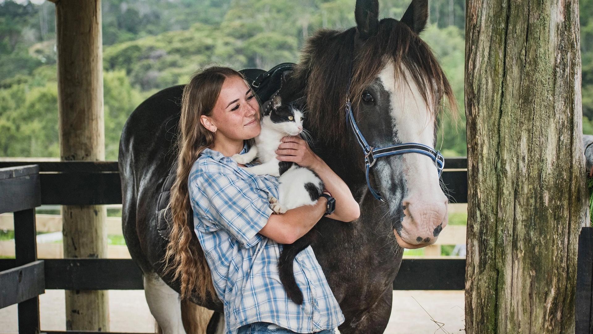 Kiwi Valley Farm Park, Henderson Valley