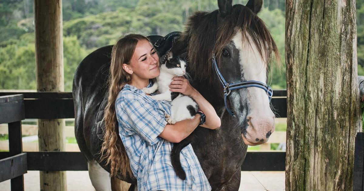 Kiwi Valley Farm Park