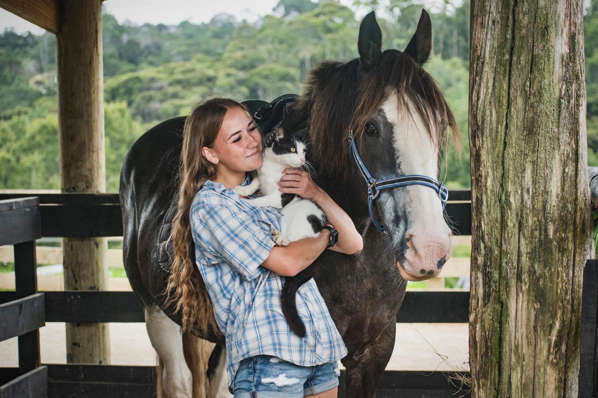 Kiwi Valley Farm Park, Henderson Valley