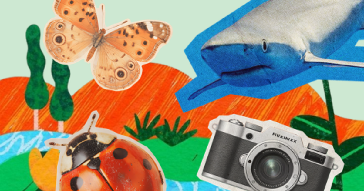 Epsom Library School Holiday Programme