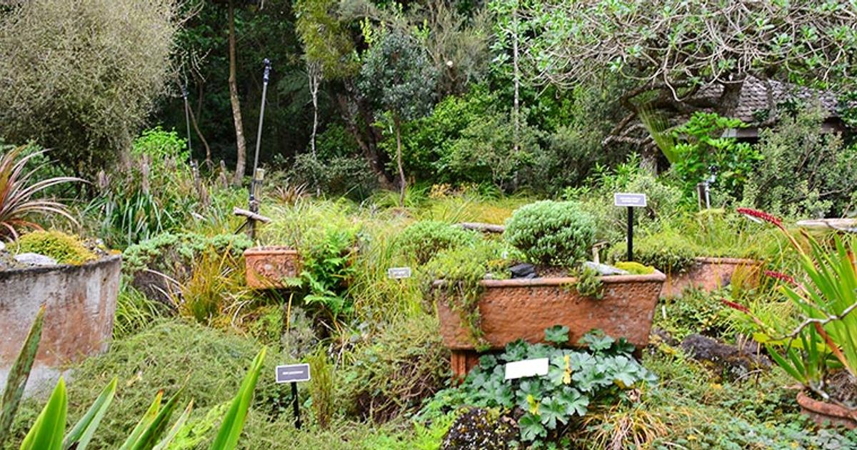 Fernglen Native Plant Gardens