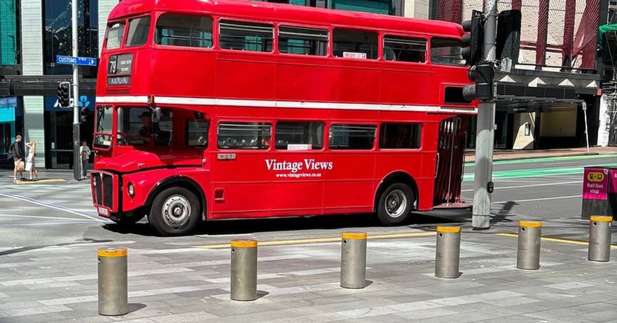 Double Decker Discovery