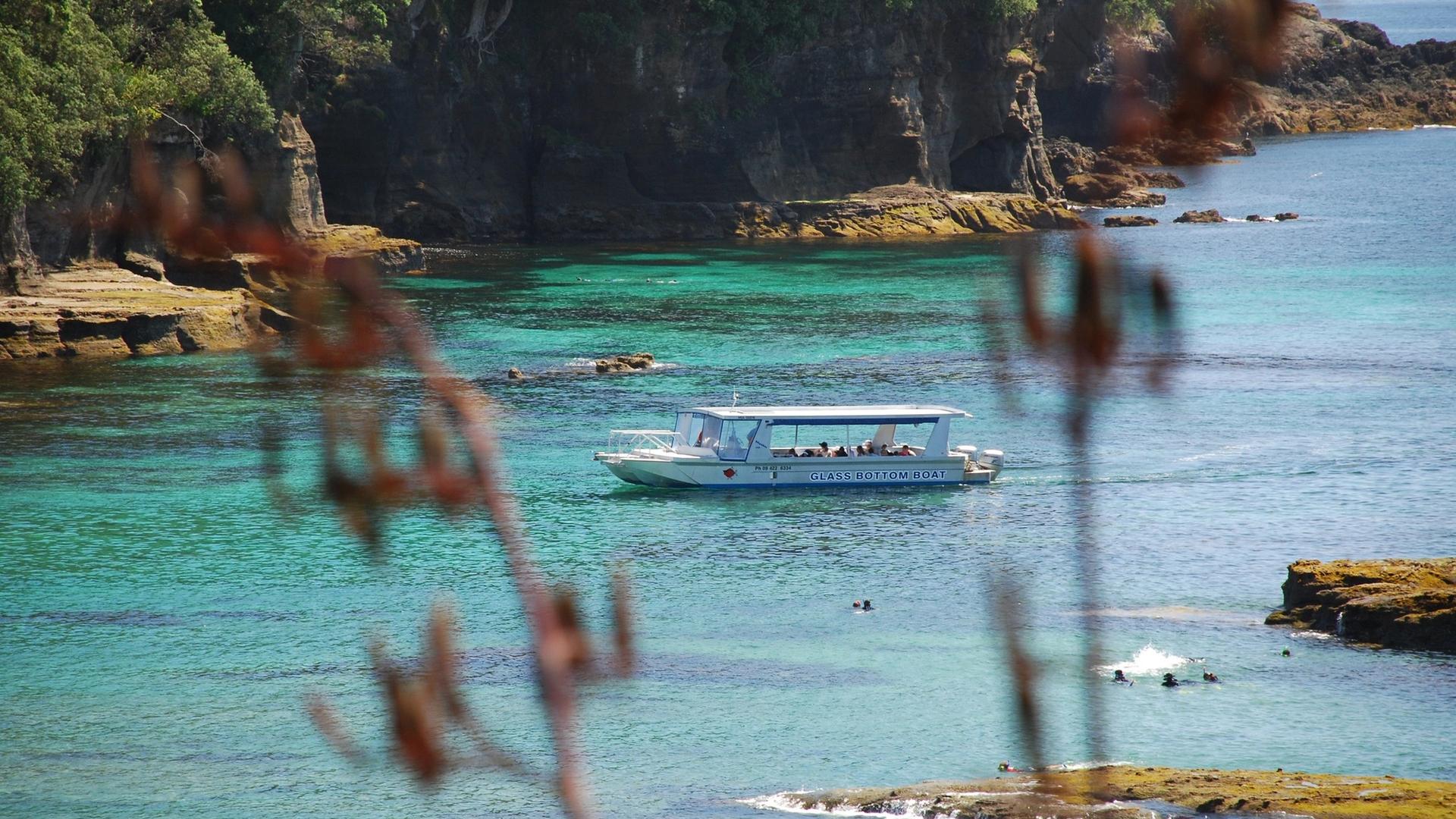 Glass Bottom Boat Tours, Leigh