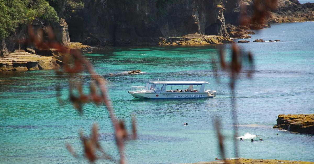 Glass Bottom Boat Tours