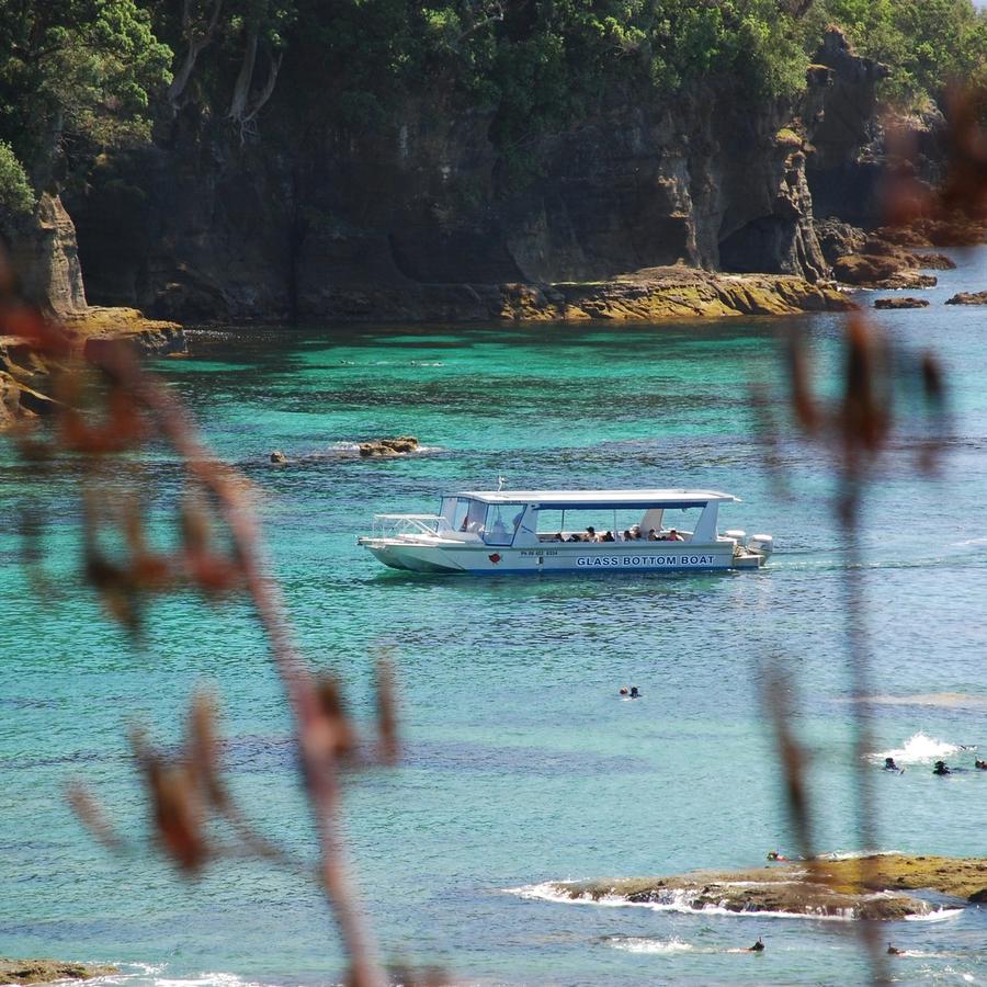 Glass Bottom Boat Tours