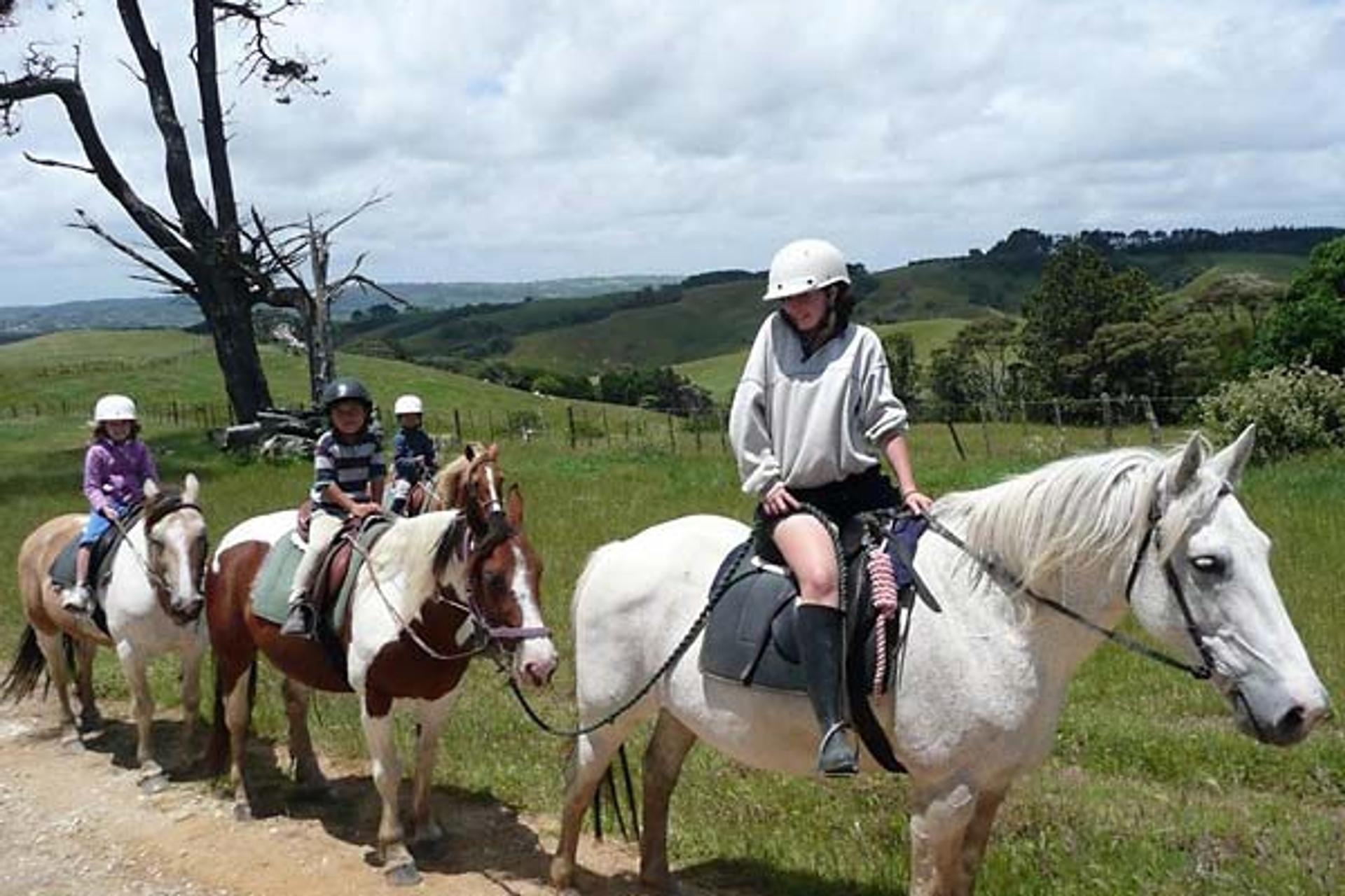 Tasman Rides, Helensville