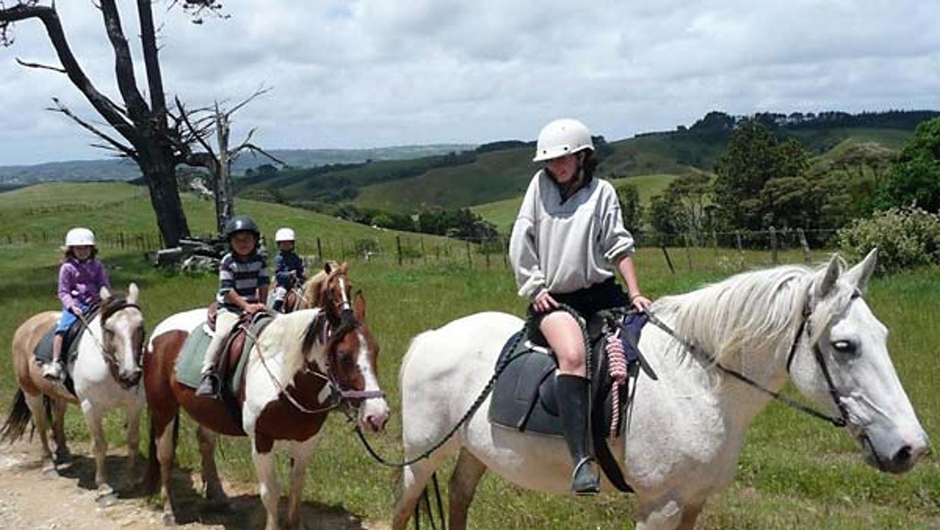 Tasman Rides, Helensville