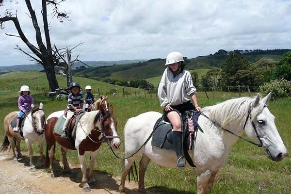 Tasman Rides