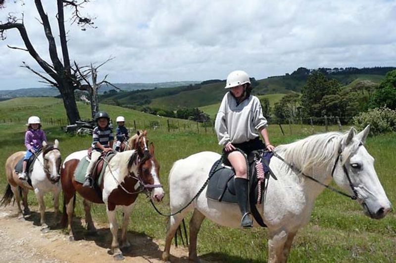 Tasman Rides