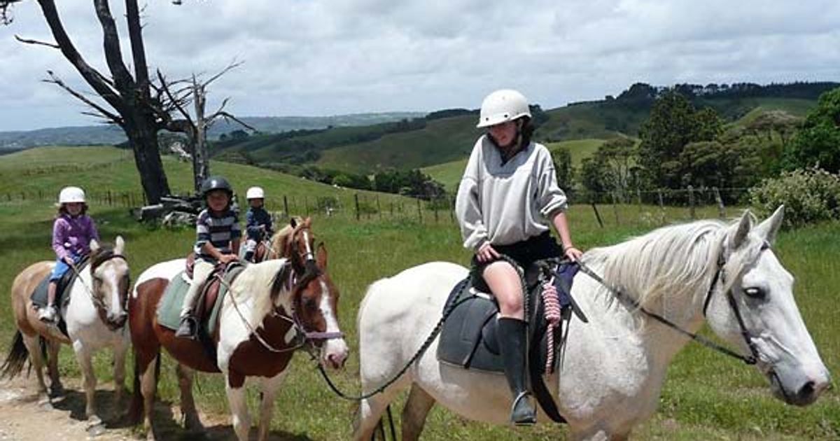 Tasman Rides