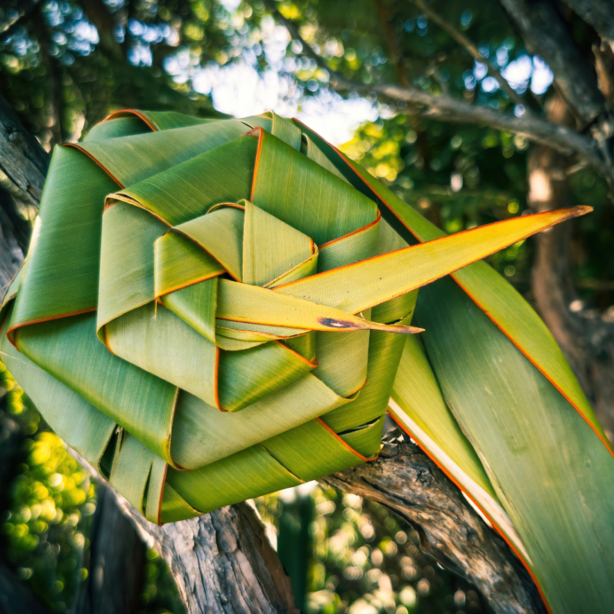 Raranga Harakeke: Flax Weaving Workshop