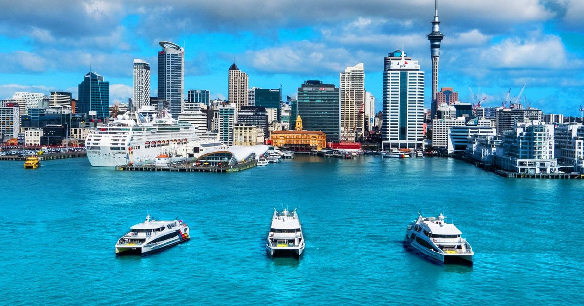 Auckland Harbour Cruise