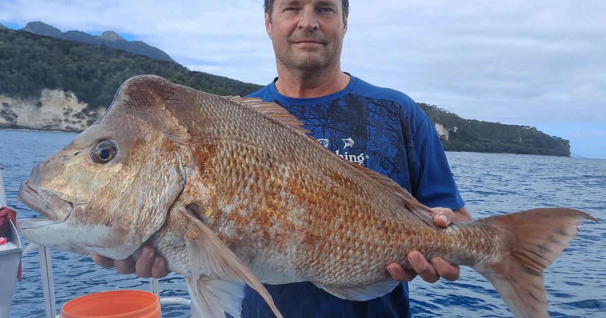Northside Adventures Fishing Charters