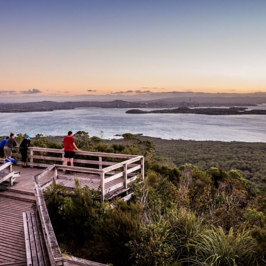 Rangitoto Summit Track