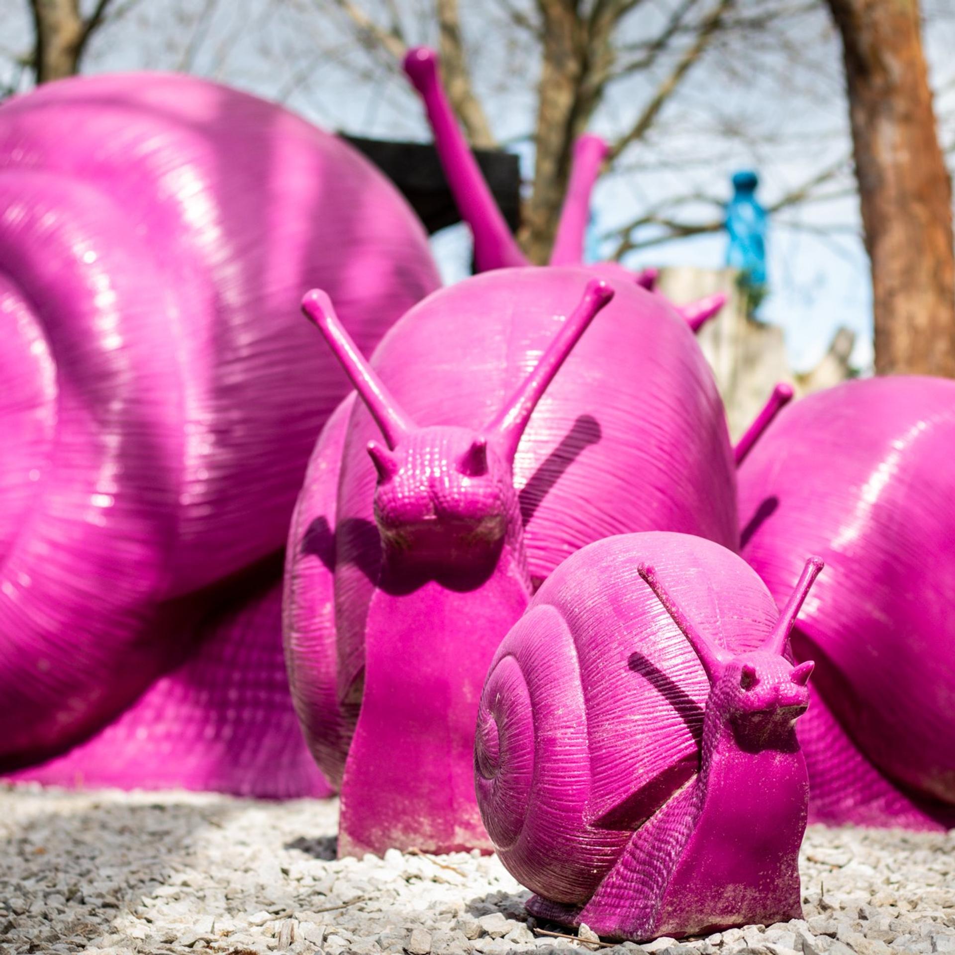 Sculptureum, Matakana