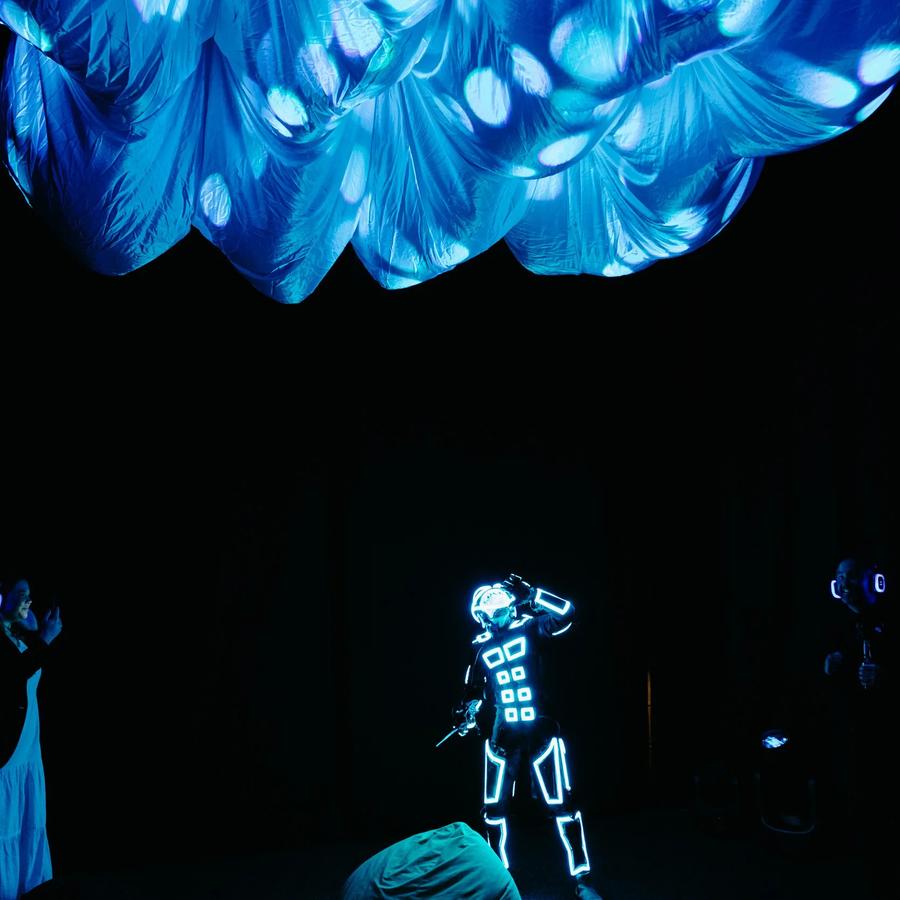 Dreamer Indoor Light Festival