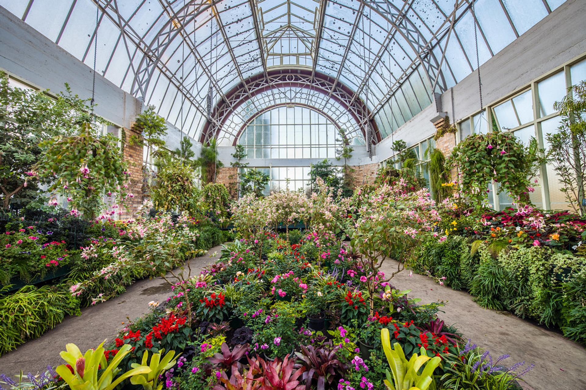 Domain Wintergardens, Grafton