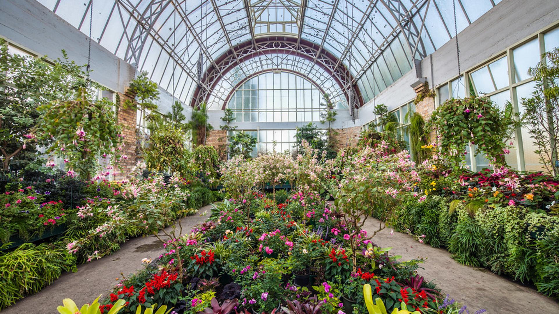Domain Wintergardens, Grafton