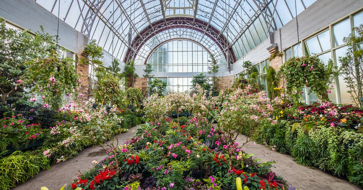 Domain Wintergardens