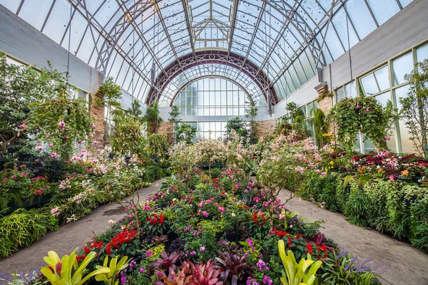 Domain Wintergardens
