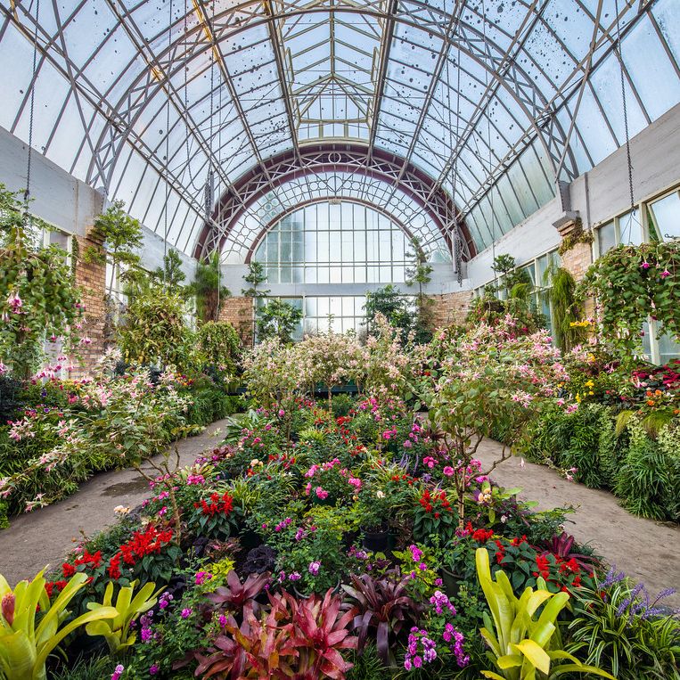 Domain Wintergardens