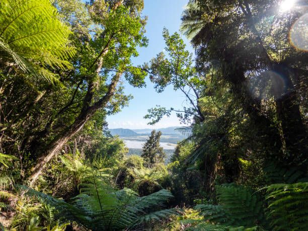 Promises to Papatūānuku