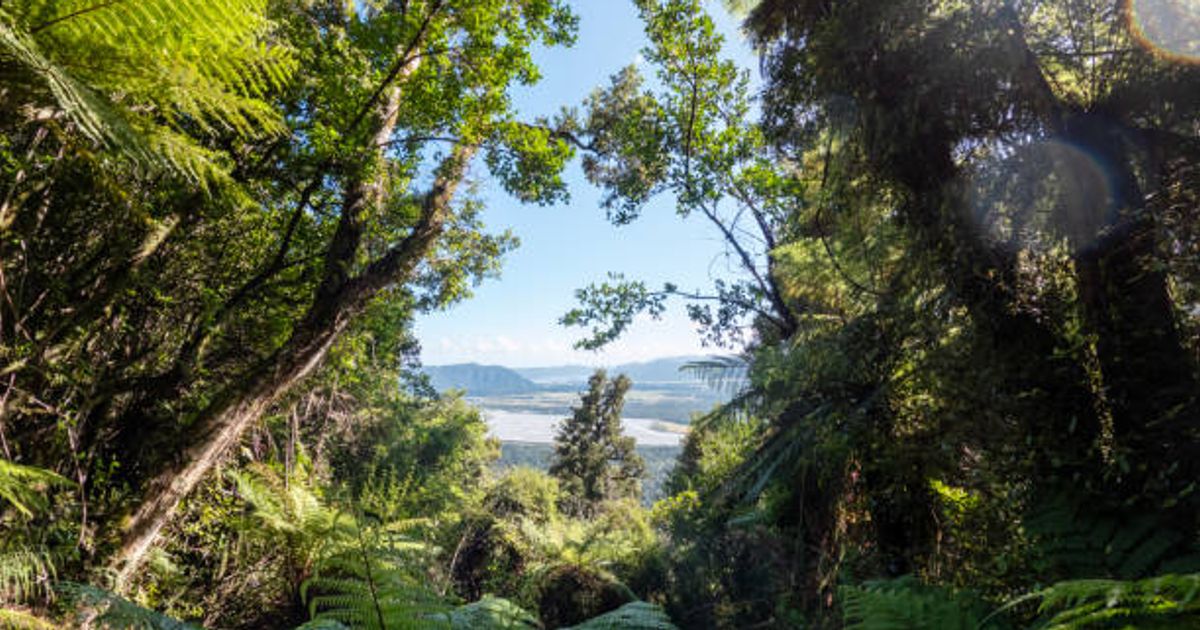 Promises to Papatūānuku