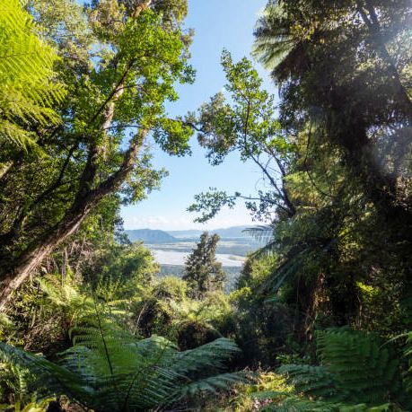 Promises to Papatūānuku