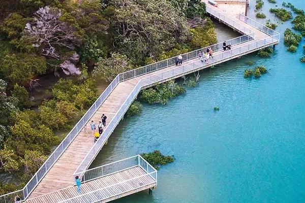 Hobsonville Point Coastal Walkway