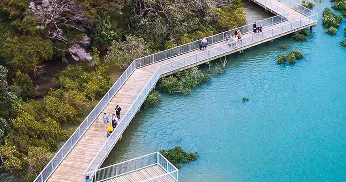 Hobsonville Point Coastal Walkway