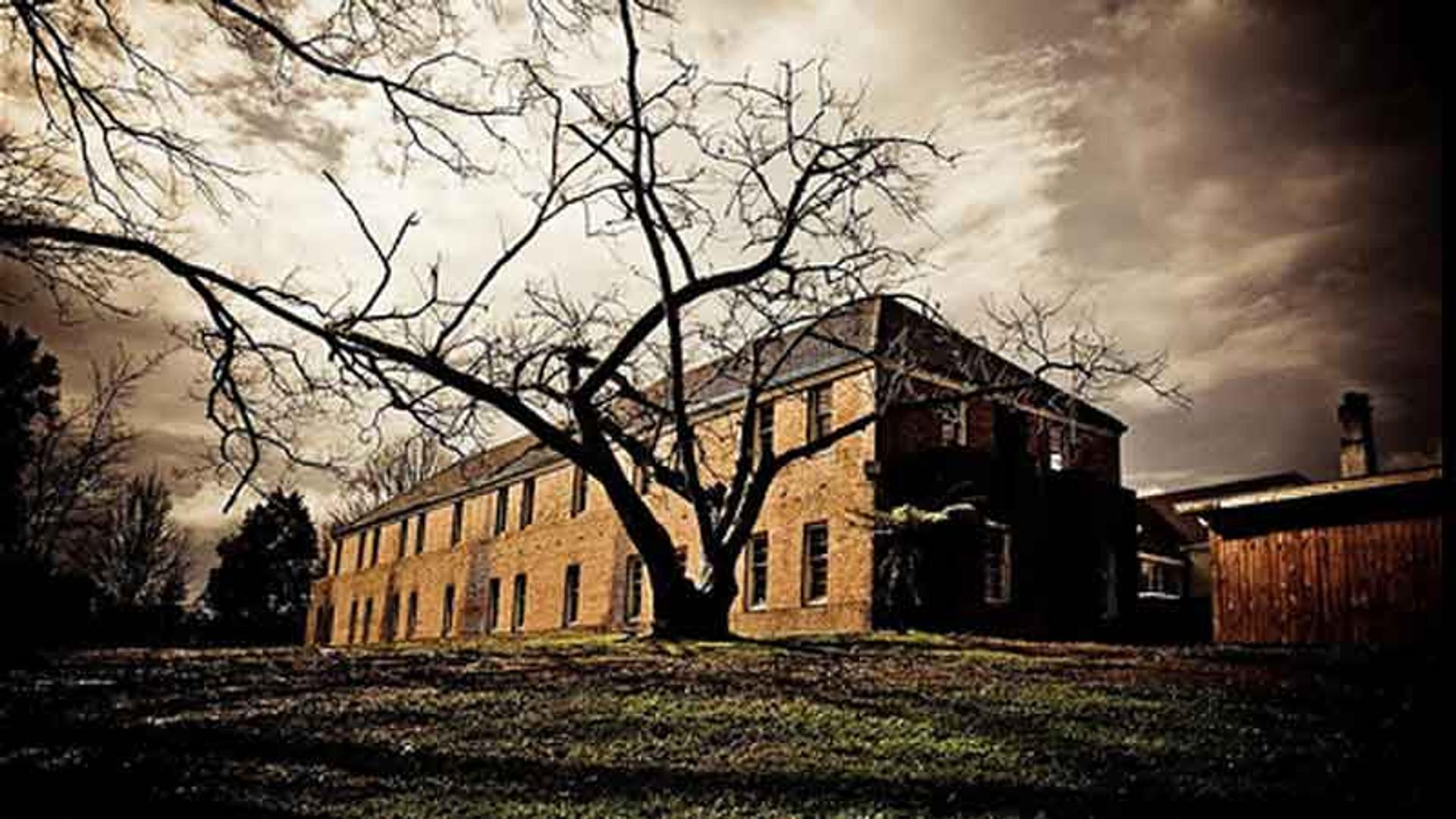 Spookers Haunted Attraction Theme Park, Kingseat