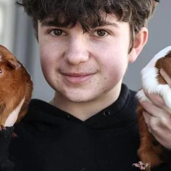 Guienea Pig Mega Pet Show