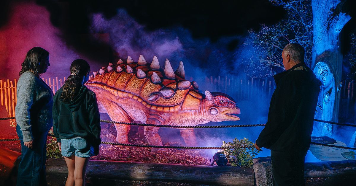 Dinosaur Nights & Lights