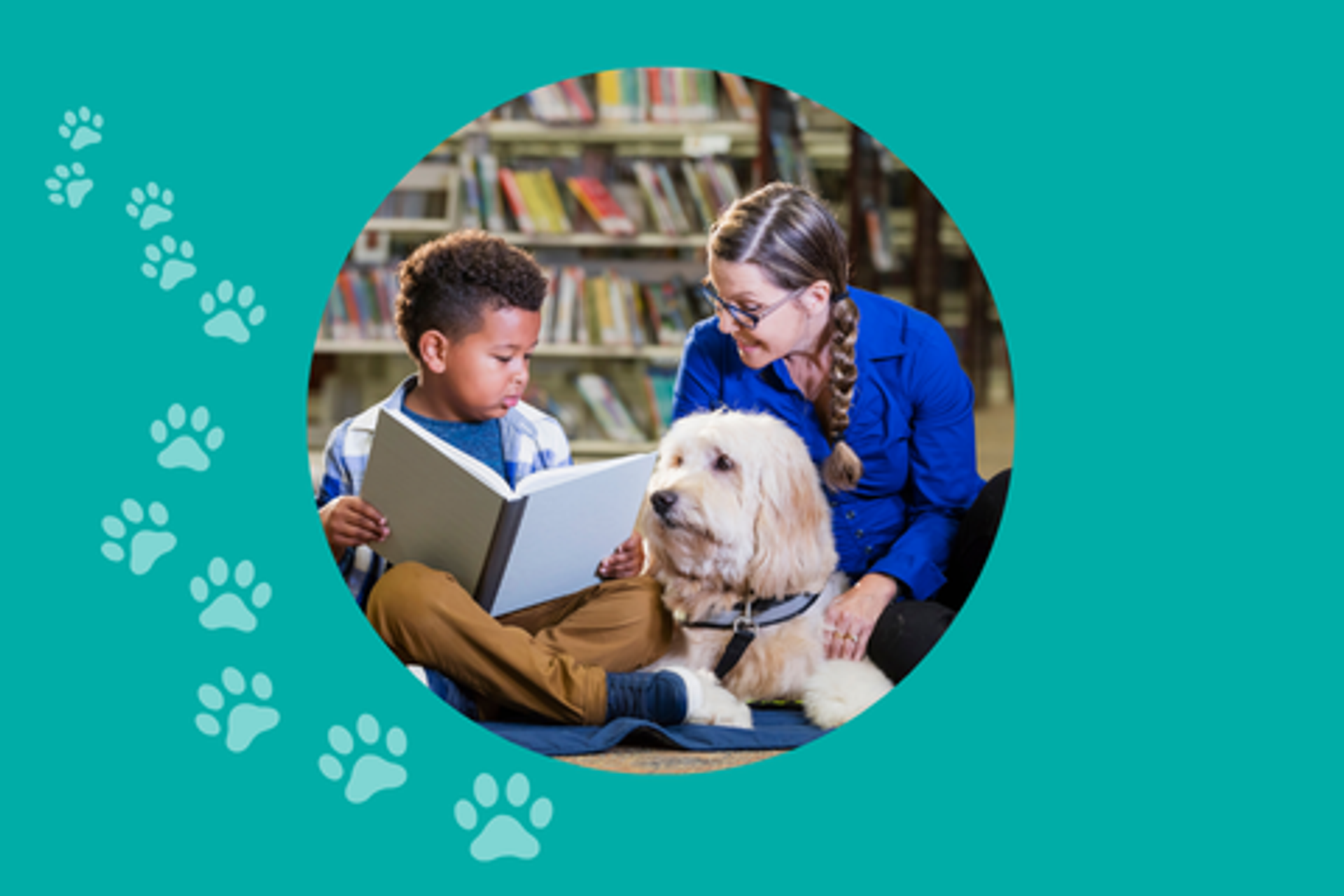 Read to a dog, Whangaparāoa
