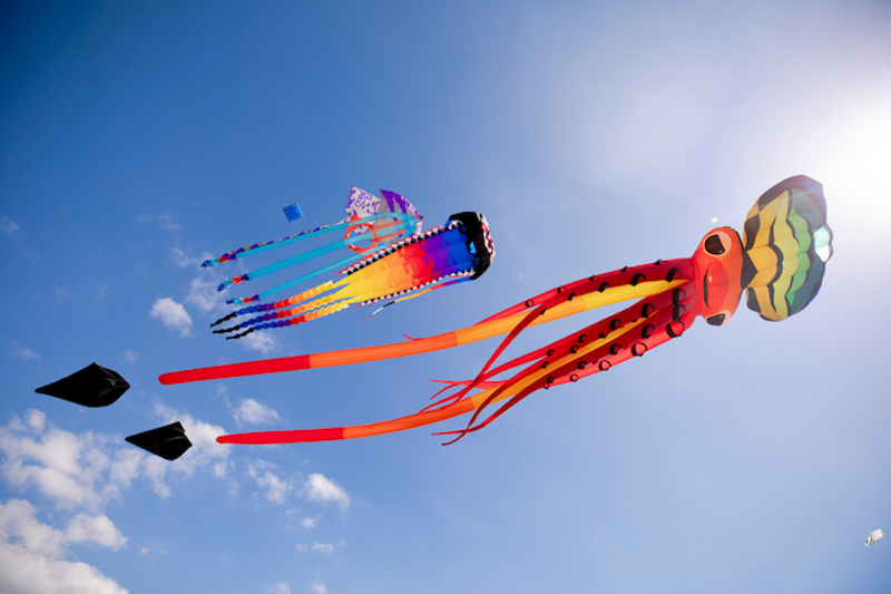 Matariki Whakarewa Manu - Kite Day