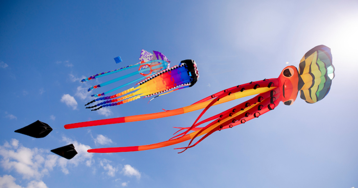 Matariki Whakarewa Manu - Kite Day