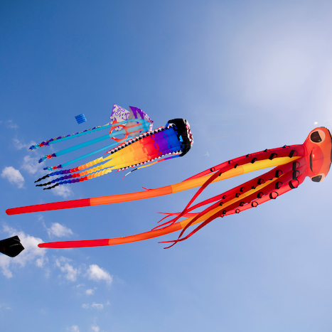 Matariki Whakarewa Manu - Kite Day