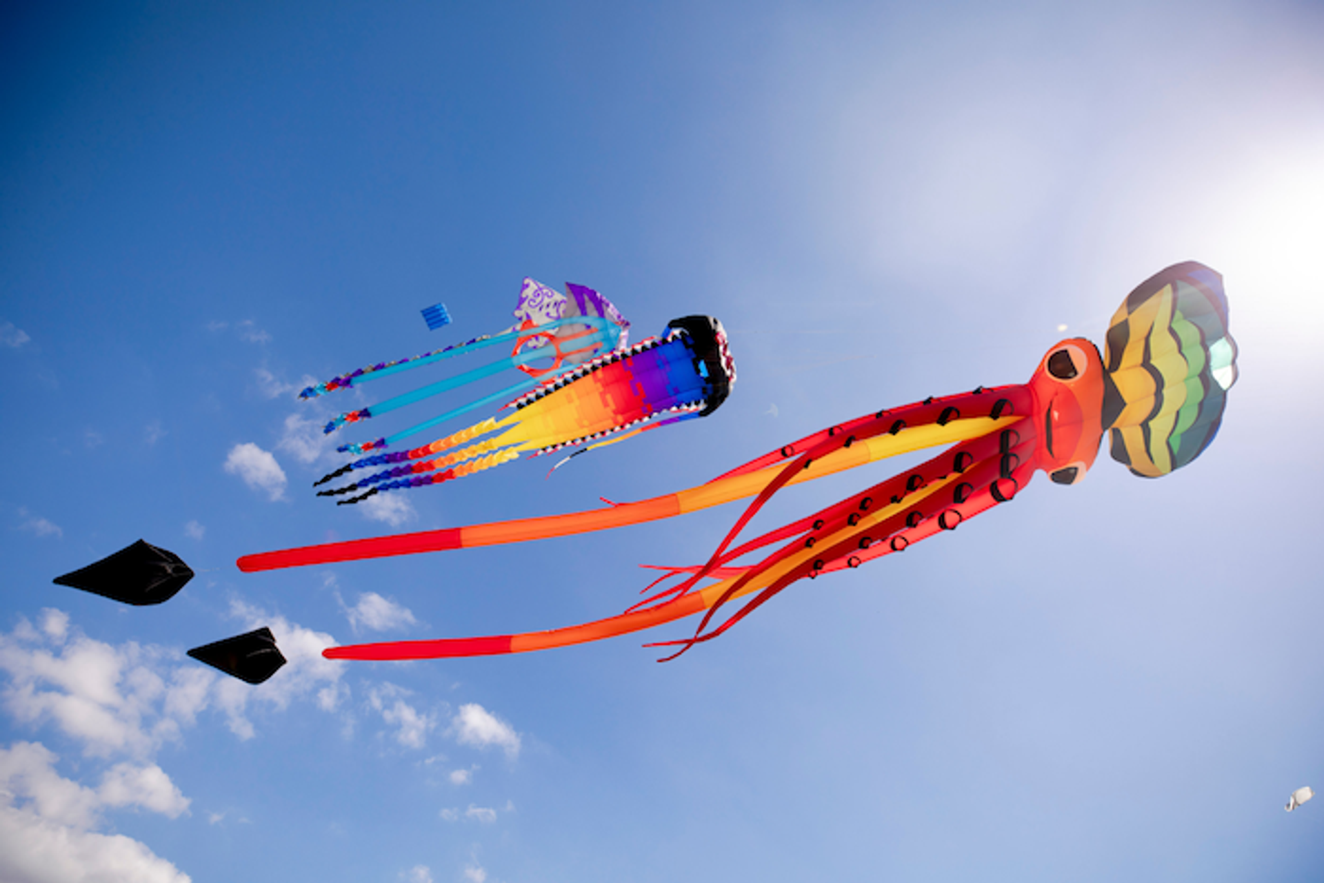 Matariki Whakarewa Manu - Kite Day, Pukekohe
