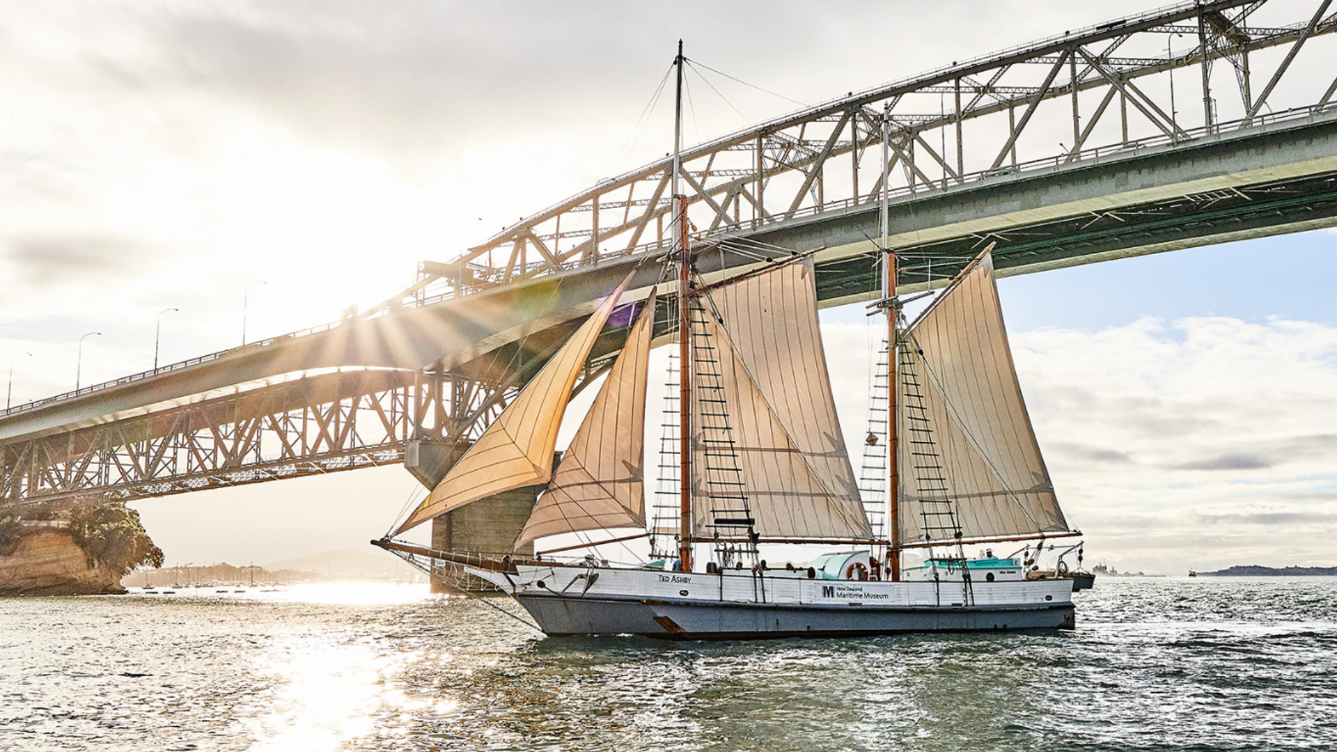 Ted Ashby Sailings, Auckland CBD