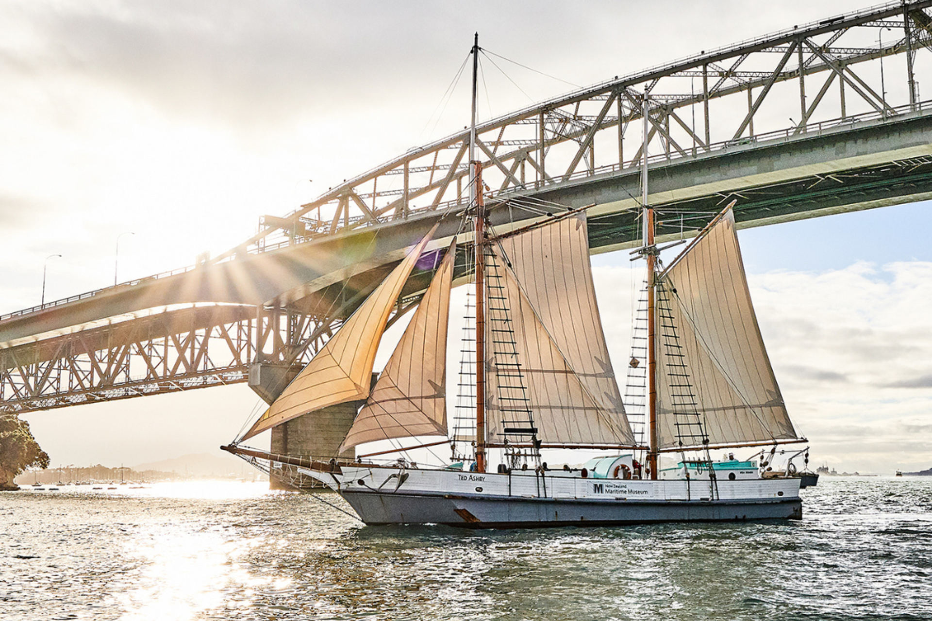 Ted Ashby Sailings, Auckland CBD