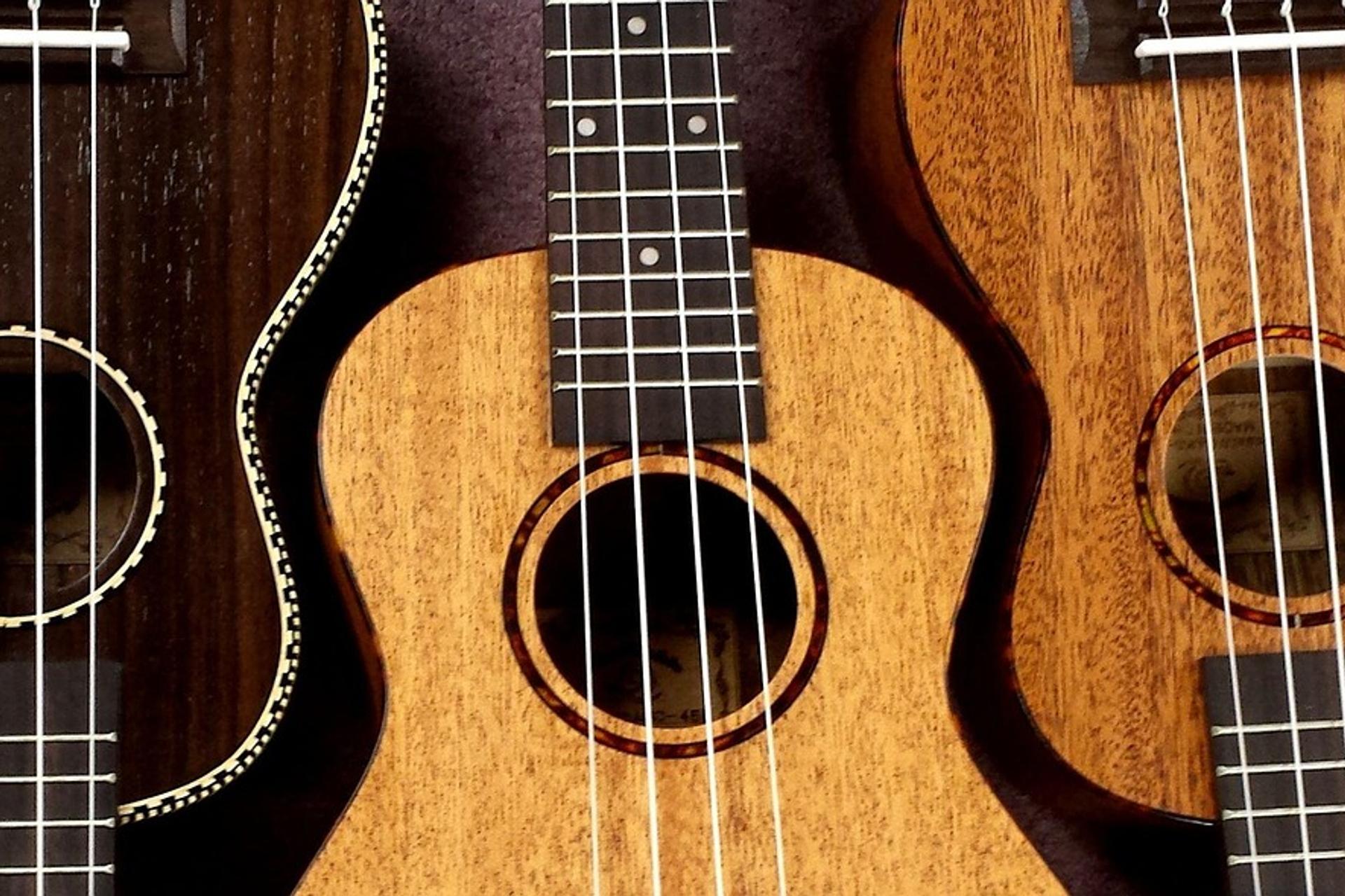 Ukelele Jam, Mt Albert