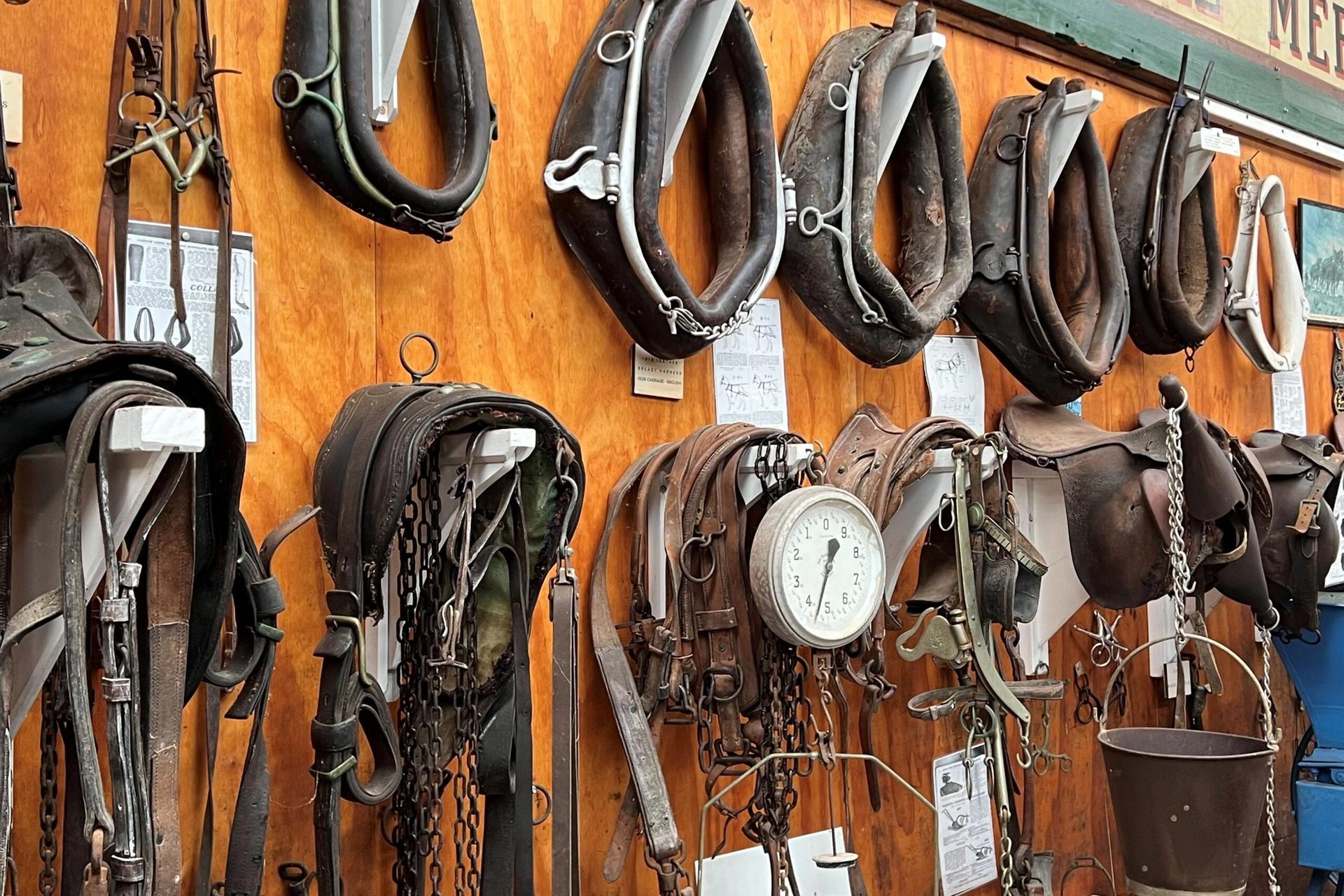 Te Awaroa Museum, Helensville