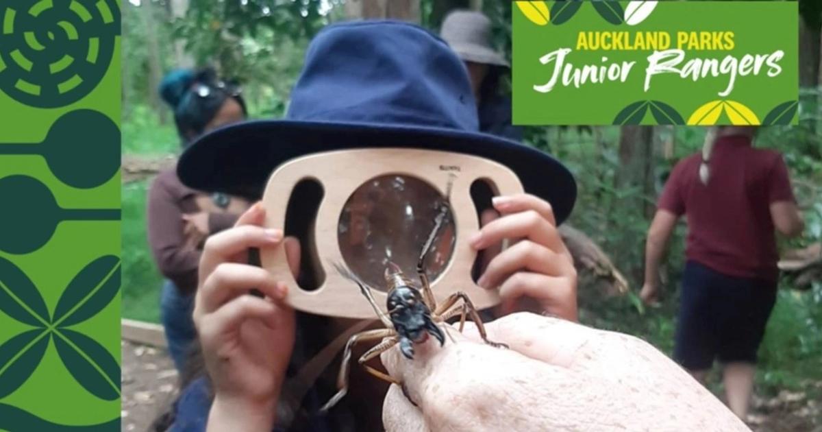 Junior Ranger Explorer Walk