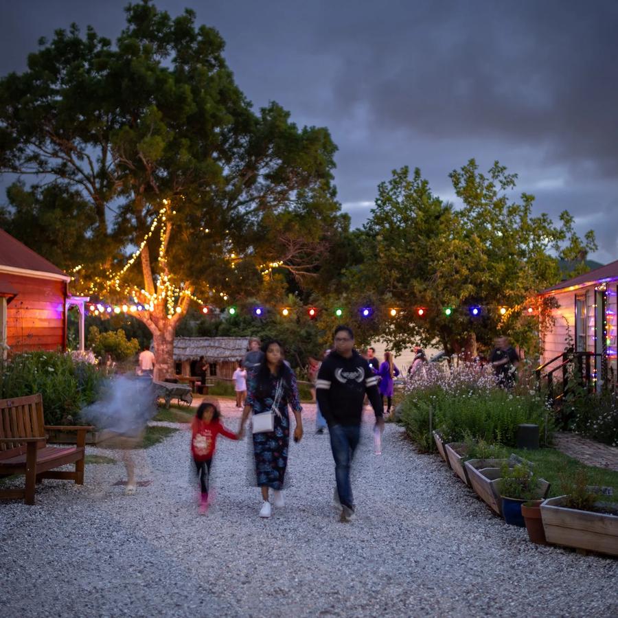 Winter Lights Festival 2026